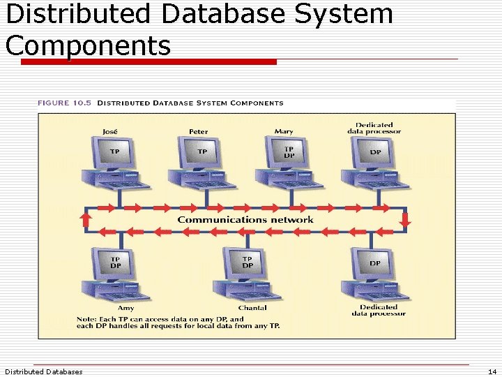 Distributed Database System Components Distributed Databases 14 Distributed Database System Components Distributed Databases 14