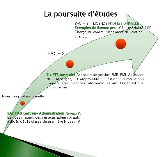 La poursuite d’études BAC + 3 : LICENCE PROFESSIONNELLE Exemples de licence pro :