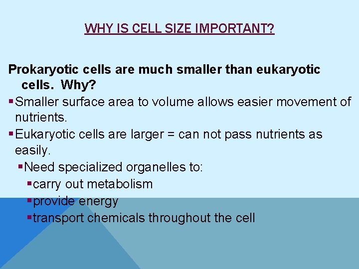 WHY IS CELL SIZE IMPORTANT? Prokaryotic cells are much smaller than eukaryotic cells. Why?