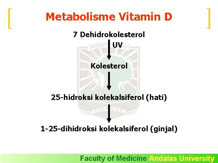 Metabolisme Vitamin D 7 Dehidrokolesterol UV Kolesterol 25 -hidroksi kolekalsiferol (hati) 1 -25 -dihidroksi