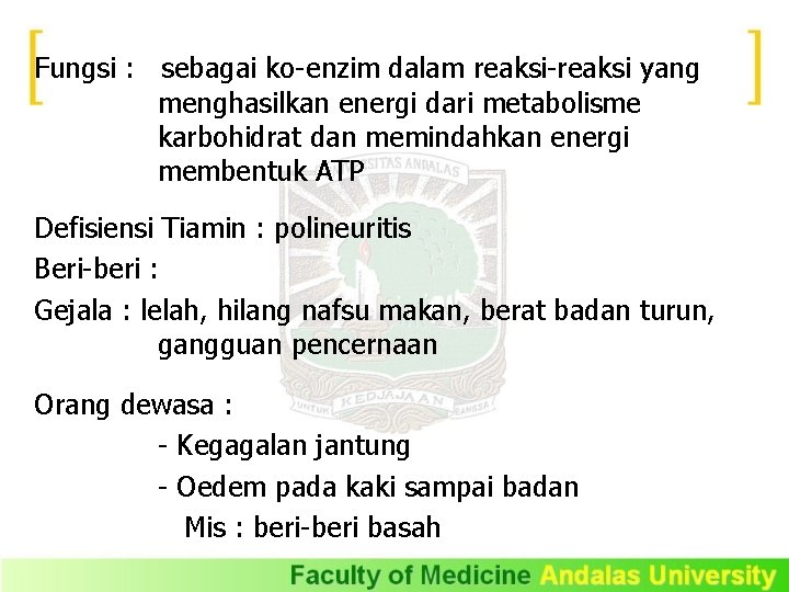 Fungsi : sebagai ko-enzim dalam reaksi-reaksi yang menghasilkan energi dari metabolisme karbohidrat dan memindahkan