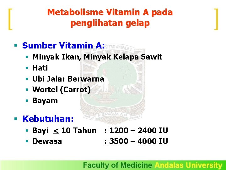 Metabolisme Vitamin A pada penglihatan gelap § Sumber Vitamin A: § § § Minyak