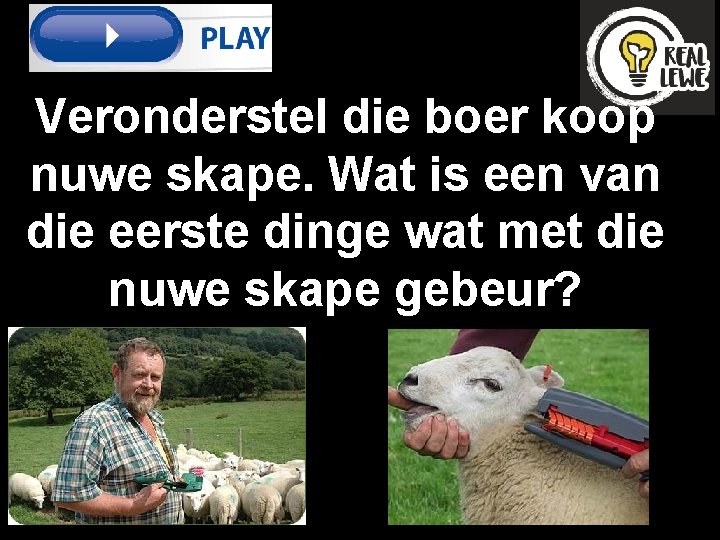 Veronderstel die boer koop nuwe skape. Wat is een van die eerste dinge wat