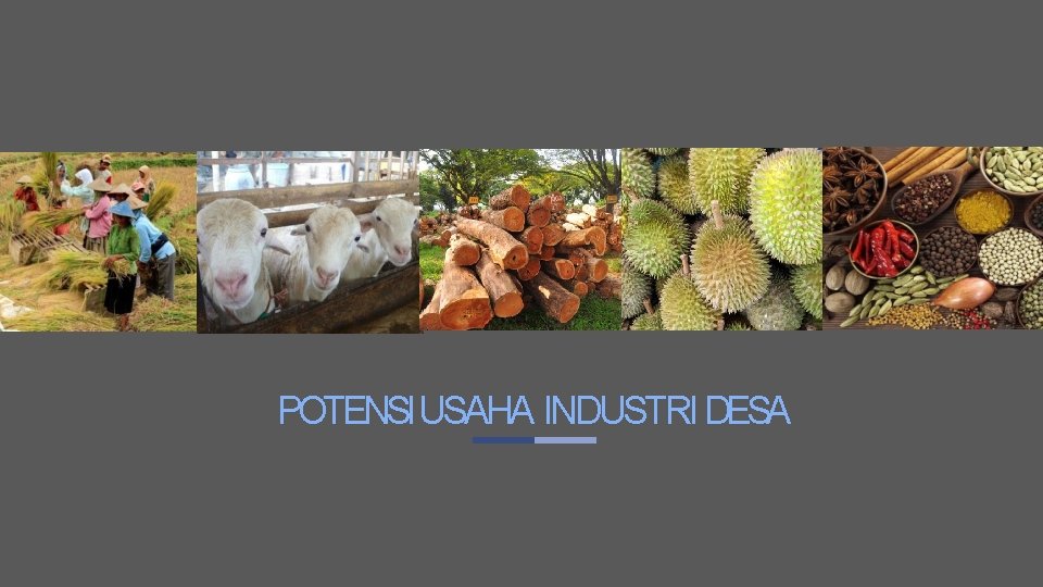 POTENSIUSAHA INDUSTRI DESA POTENSIUSAHA INDUSTRI DESA