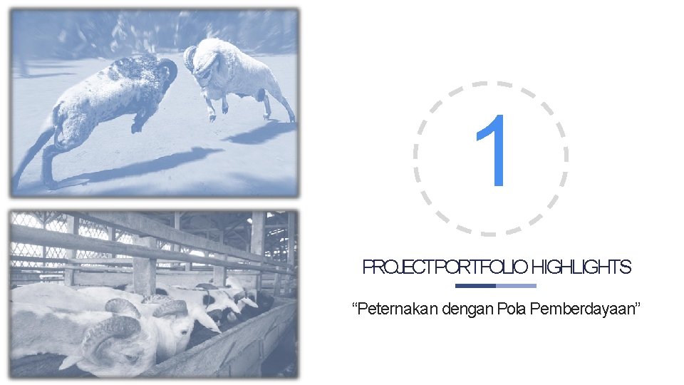1 PROJECTPORTFOLIO HIGHLIGHTS “Peternakan dengan Pola Pemberdayaan” 1 PROJECTPORTFOLIO HIGHLIGHTS “Peternakan dengan Pola Pemberdayaan”