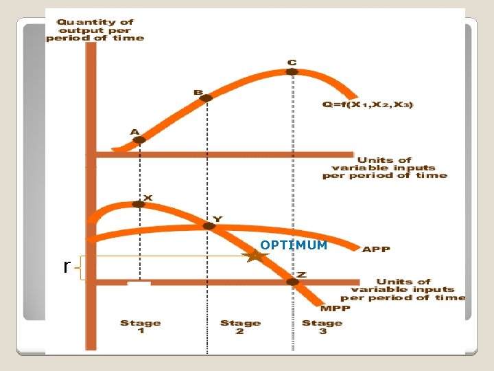 OPTIMUM r 