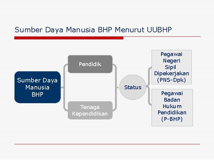 Sumber Daya Manusia BHP Menurut UUBHP Pegawai Negeri Sipil Dipekerjakan (PNS-Dpk) Pendidik Sumber Daya