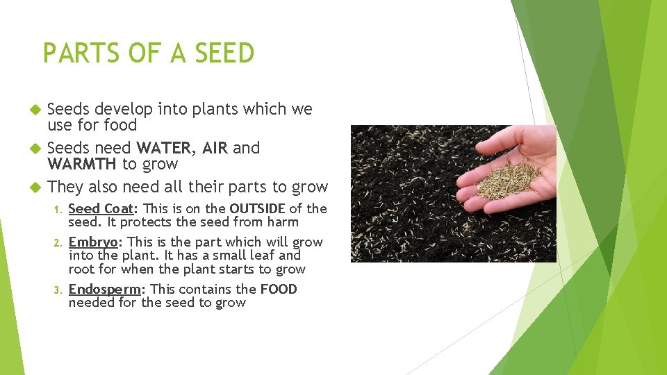PARTS OF A SEED Seeds develop into plants which we use for food Seeds