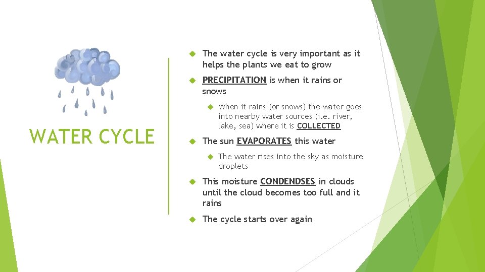  The water cycle is very important as it helps the plants we eat