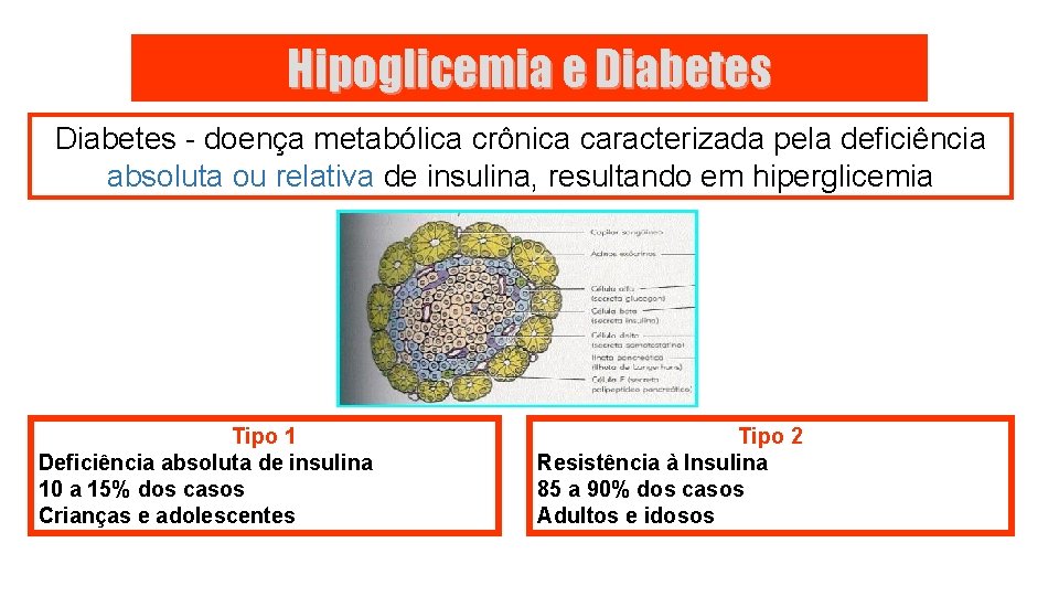 Hipoglicemia e Diabetes - doença metabólica crônica caracterizada pela deficiência absoluta ou relativa de