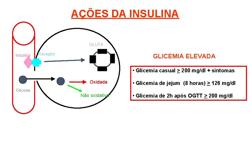 AÇÕES DA INSULINA GLUT 4 Insulina Receptor GLICEMIA ELEVADA • Glicemia casual > 200