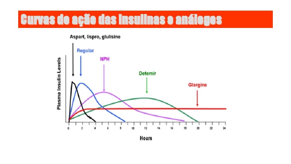 Curvas de ação das Insulinas e análogos 