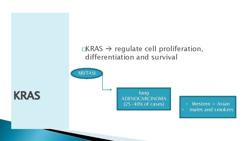 �KRAS regulate cell proliferation, differentiation and survival MUTASI KRAS lung ADENOCARCINOMA (25 -40% of