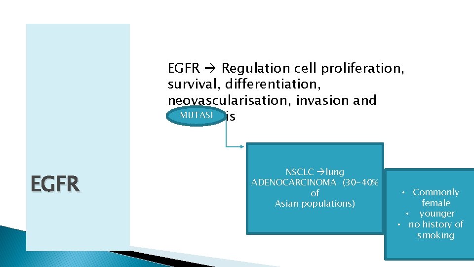 EGFR Regulation cell proliferation, survival, differentiation, neovascularisation, invasion and MUTASI metastasis EGFR NSCLC lung