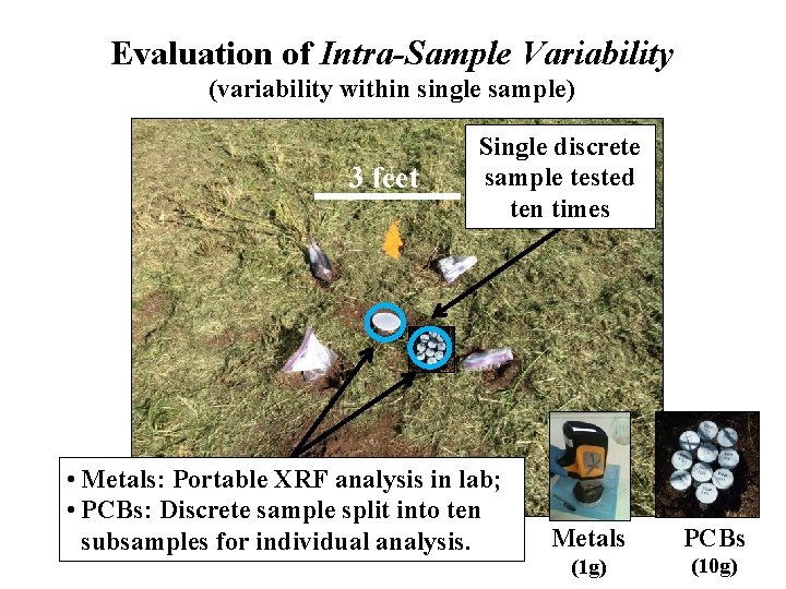 Evaluation of Intra-Sample Variability (variability within single sample) 3 feet Single discrete sample tested