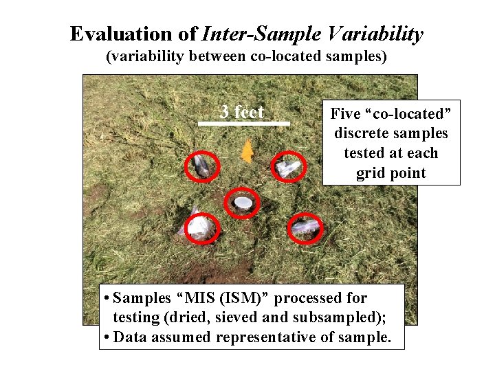 Evaluation of Inter-Sample Variability (variability between co-located samples) 3 feet Five “co-located” discrete samples