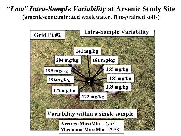 “Low” Intra-Sample Variability at Arsenic Study Site (arsenic-contaminated wastewater, fine-grained soils) Intra-Sample Variability Grid