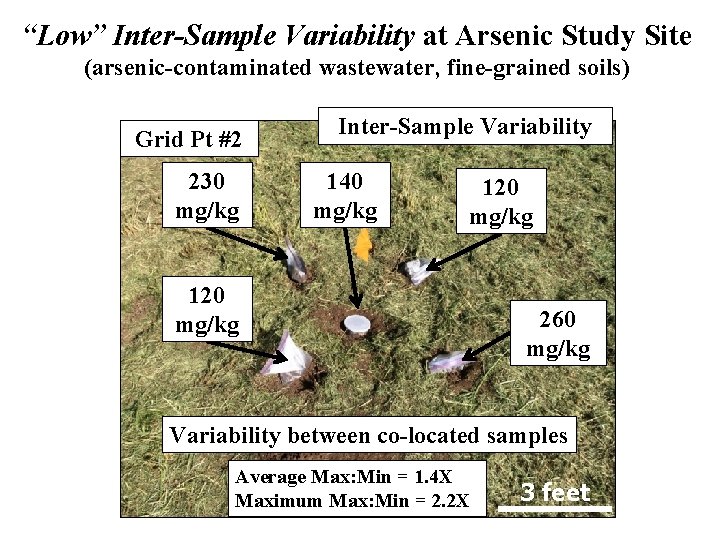 “Low” Inter-Sample Variability at Arsenic Study Site (arsenic-contaminated wastewater, fine-grained soils) Grid Pt #2