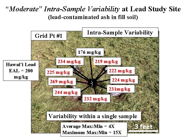 “Moderate” Intra-Sample Variability at Lead Study Site (lead-contaminated ash in fill soil) Intra-Sample Variability