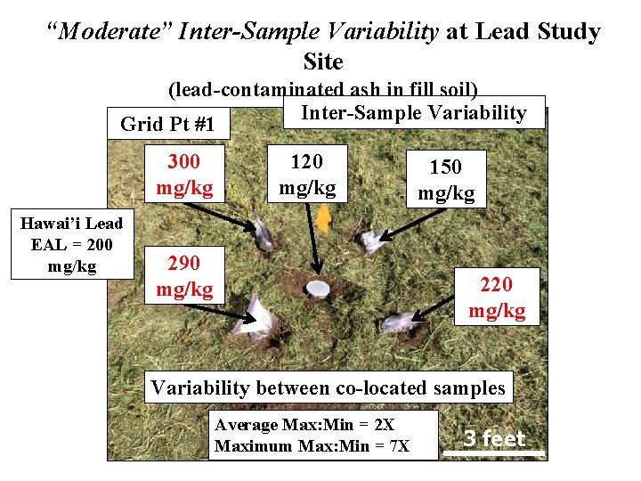 “Moderate” Inter-Sample Variability at Lead Study Site (lead-contaminated ash in fill soil) Inter-Sample Variability