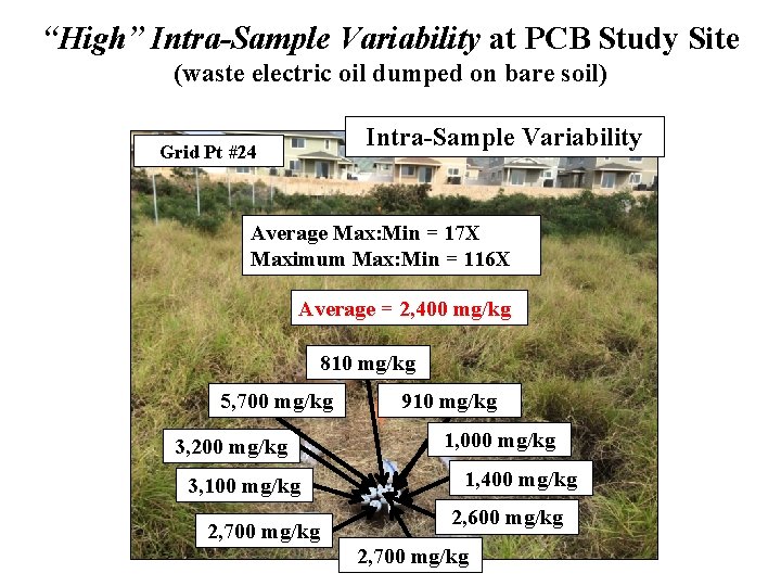 “High” Intra-Sample Variability at PCB Study Site (waste electric oil dumped on bare soil)