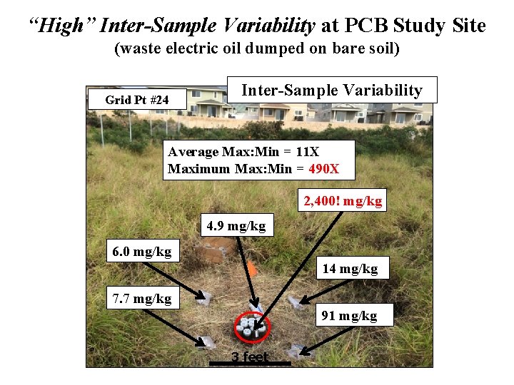 “High” Inter-Sample Variability at PCB Study Site (waste electric oil dumped on bare soil)