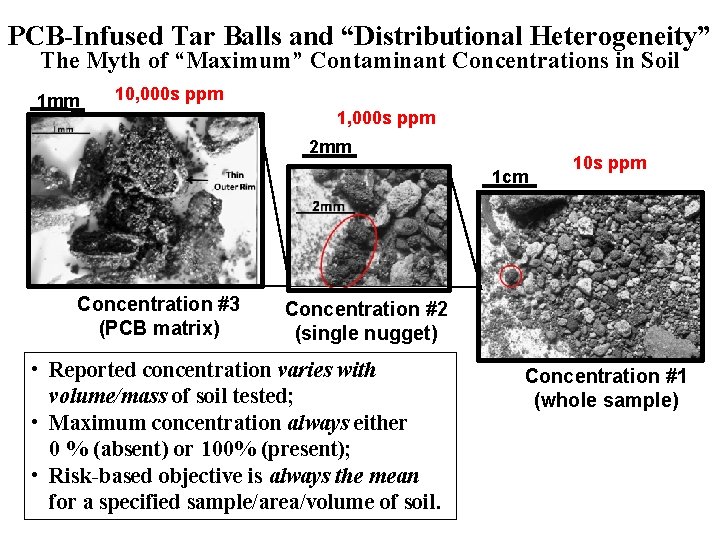 PCB-Infused Tar Balls and “Distributional Heterogeneity” The Myth of “Maximum” Contaminant Concentrations in Soil