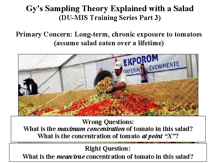 Gy’s Sampling Theory Explained with a Salad (DU-MIS Training Series Part 3) Primary Concern: