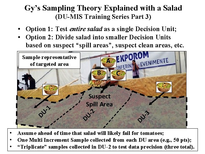 Gy’s Sampling Theory Explained with a Salad (DU-MIS Training Series Part 3) • Option
