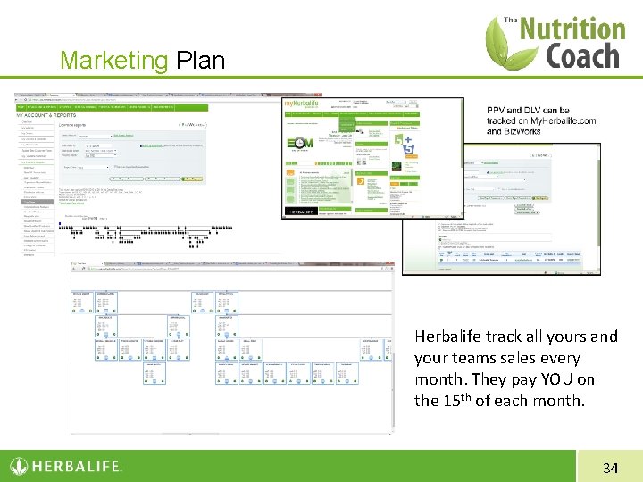 Marketing Plan Herbalife track all yours and your teams sales every month. They pay
