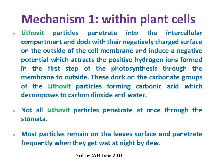 Mechanism 1: within plant cells Ø Ø Ø Lithovit particles penetrate into the intercellular