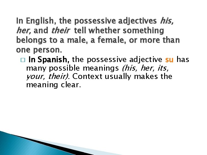 In English, the possessive adjectives his, her, and their tell whether something belongs to