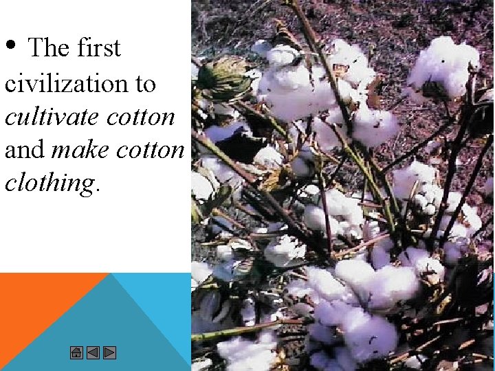  • The first civilization to cultivate cotton and make cotton clothing. 