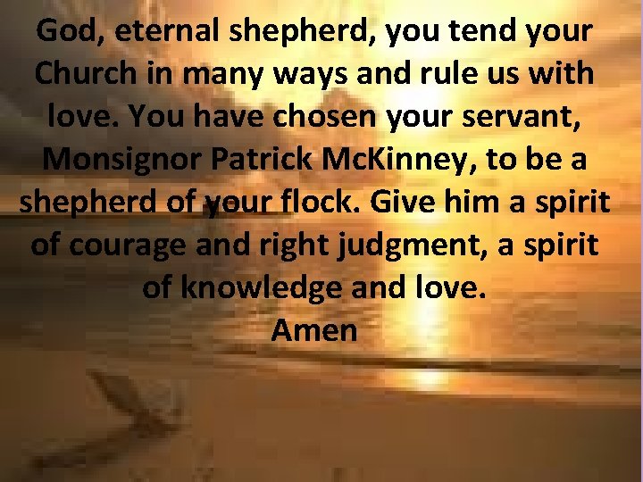 God, eternal shepherd, you tend your Church in many ways and rule us with