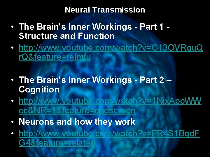 Neural Transmission • The Brain's Inner Workings - Part 1 Structure and Function •