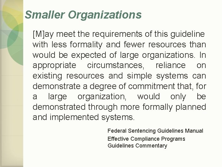 Smaller Organizations [M]ay meet the requirements of this guideline with less formality and fewer