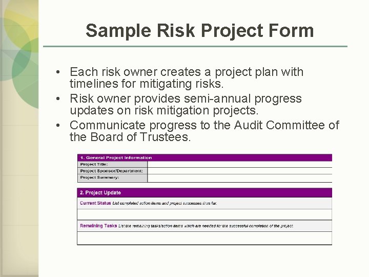 Sample Risk Project Form • Each risk owner creates a project plan with timelines