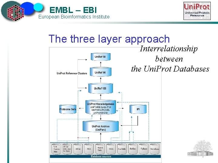 EMBL – EBI European Bioinformatics Institute The three layer approach Interrelationship between the Uni.