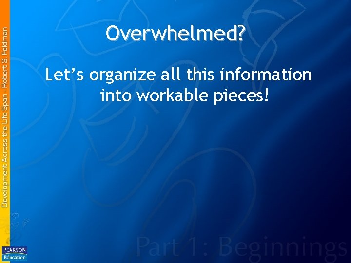 Overwhelmed? Let’s organize all this information into workable pieces! 