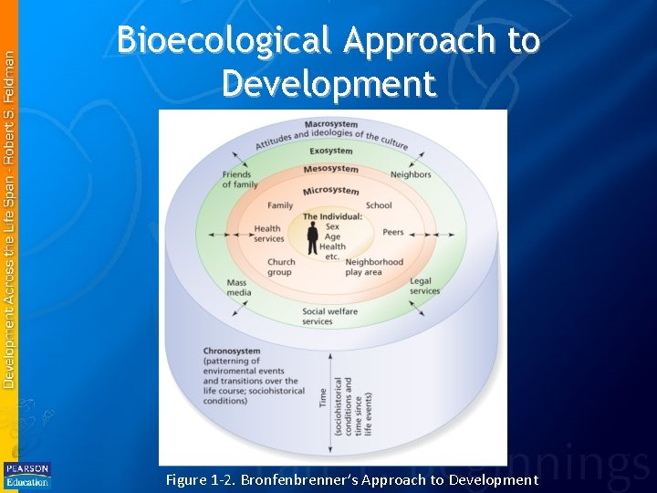 Bioecological Approach to Development Figure 1 -2. Bronfenbrenner’s Approach to Development 