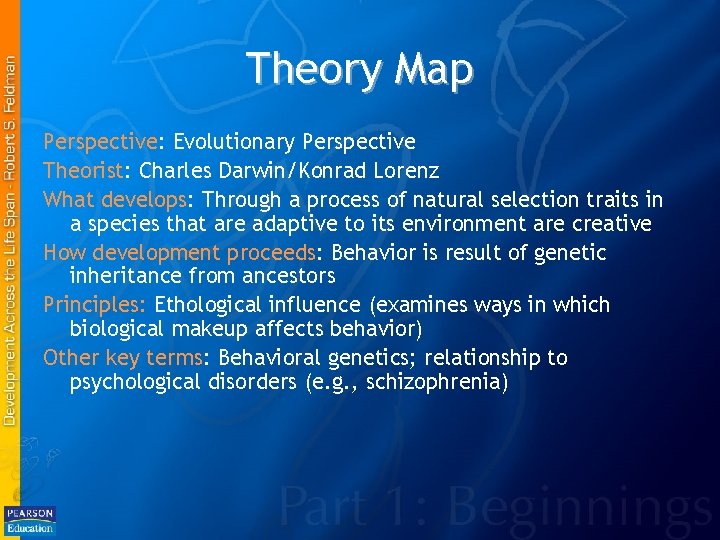 Theory Map Perspective: Evolutionary Perspective Theorist: Charles Darwin/Konrad Lorenz What develops: Through a process