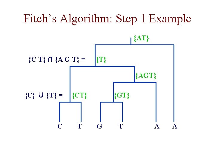 Fitch’s Algorithm: Step 1 Example {AT} {C T} ∩ {A G T} = {T}