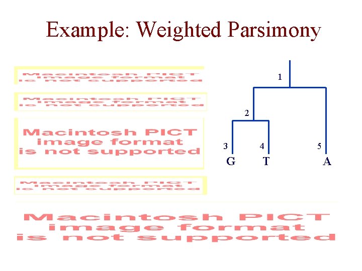Example: Weighted Parsimony 1 2 3 4 G T 5 A 