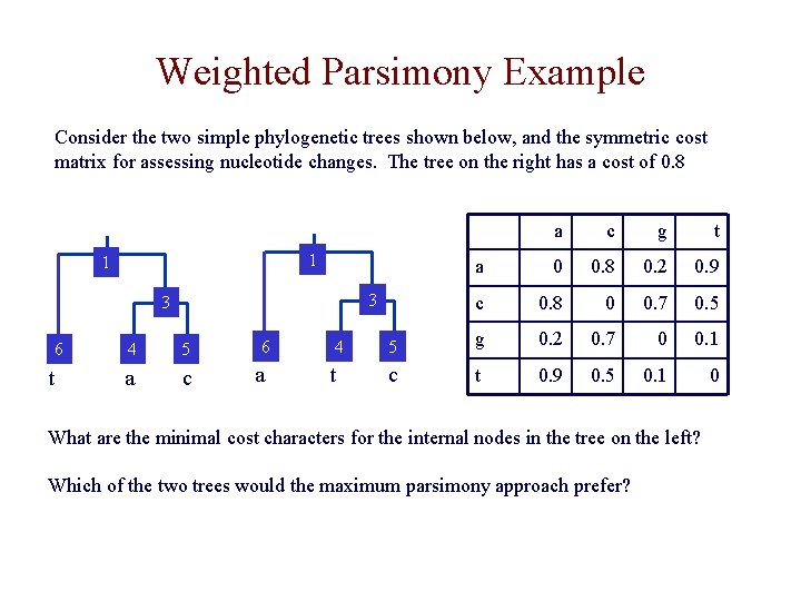 Weighted Parsimony Example Consider the two simple phylogenetic trees shown below, and the symmetric