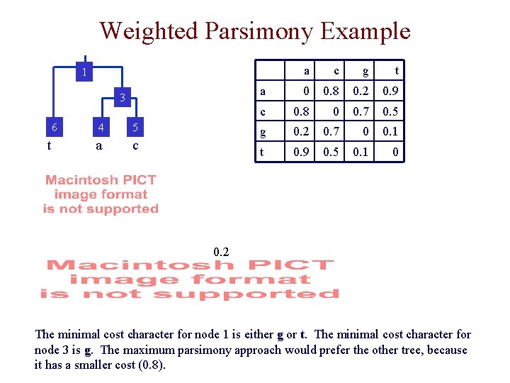 Weighted Parsimony Example a c g t a 0 0. 8 0. 2 0.