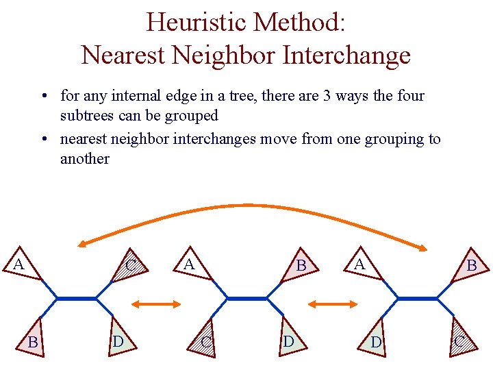 Heuristic Method: Nearest Neighbor Interchange • for any internal edge in a tree, there