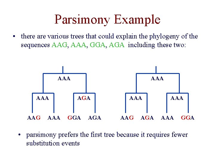 Parsimony Example • there are various trees that could explain the phylogeny of the