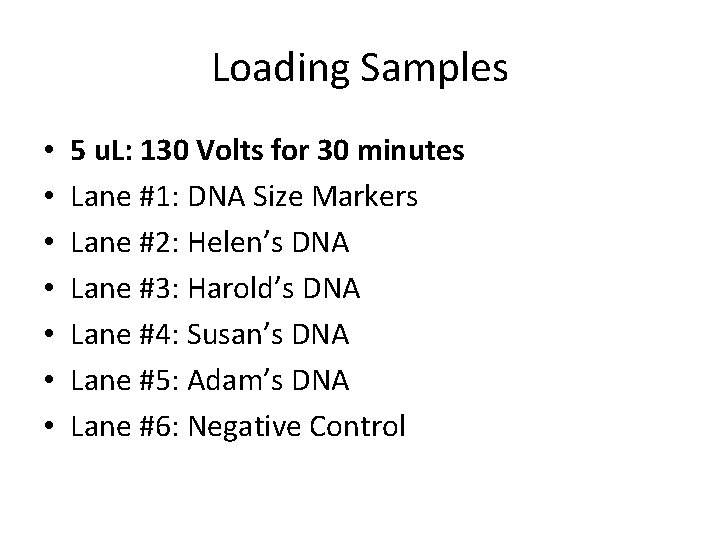 Loading Samples • • 5 u. L: 130 Volts for 30 minutes Lane #1: