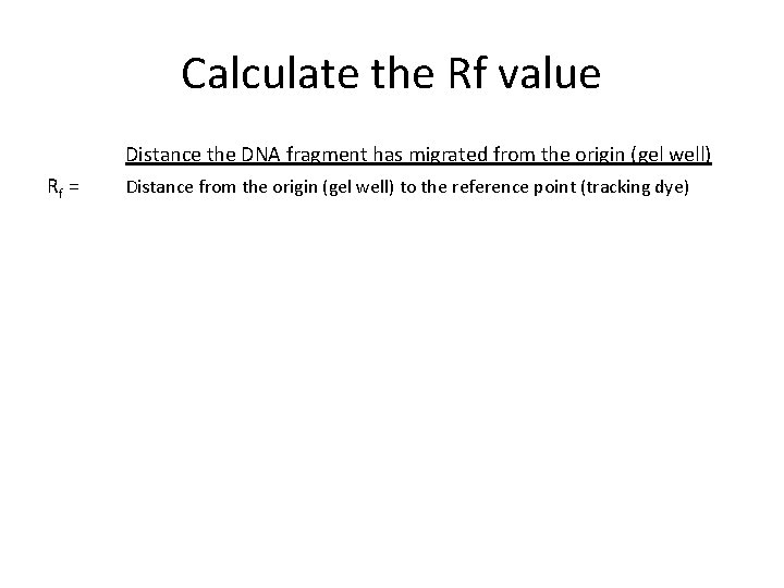 Calculate the Rf value Distance the DNA fragment has migrated from the origin (gel