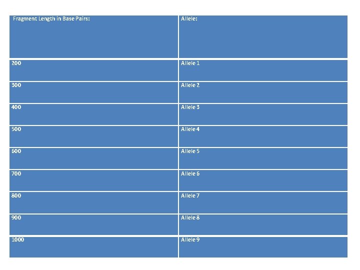  Fragment Length in Base Pairs: Allele: 200 Allele 1 300 Allele 2 400